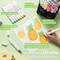 Ohuhu Alcohol Markers Brush Tip -Double Tipped Art Marker Set for Artist Adults Coloring Illustration -48 Colors -Brush & Fine -Honolulu B -Refillable